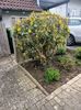 Img.2023.04.11
