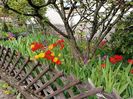 Img.2023.04.20