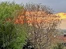 Img.2023.04.24