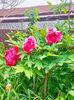 IMG20230510110419