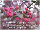 primavara