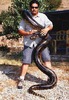 KarlAnaconda1