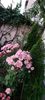 IMG-20230513-WA0140