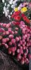 IMG-20230513-WA0138