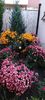 IMG-20230513-WA0135