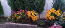 IMG-20230513-WA0134