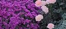 IMG-20230513-WA0128