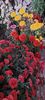 IMG-20230513-WA0127