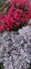 IMG-20230513-WA0126