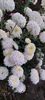 IMG-20230513-WA0125