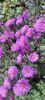 IMG-20230513-WA0124