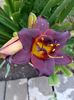 IMG-20230513-WA0118