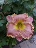 IMG-20230513-WA0116