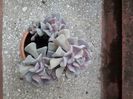 20230504_183825[1]