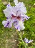 D912AE77-2B2F-4637-BCF0-5F2D7DB18315