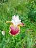 IMG20230518152011