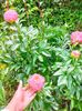 IMG20230518151924