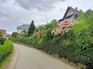 Img.2023.05.18
