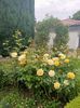 Img.2023.05.18