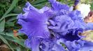 Astro Blue