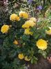 IMG-20230519-WA0020