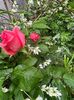 D8411E4A-4B59-4E32-8C19-540E4B9F7AE9