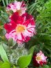 7C26CCD2-92BD-4B56-A9FA-B58FAE33C731