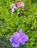 257C96AE-C3C5-42C7-A655-5DB39D1237EF