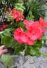 7EC44FDB-D858-4328-A080-05E62794CEAD