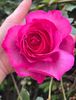 BB4B829D-9662-43D4-84E3-D1C29DD713B6