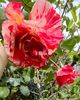 53DAB7C5-AD69-4D77-910A-A08ED1E3F081