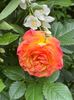 F946C842-148F-45D5-A136-3B741C4BB951