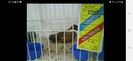 Screenshot_20230228-151442_Facebook