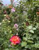 A17B06DE-2E84-4C40-84FF-570A7DA5B58F