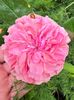 59159DBD-808D-43E1-9B84-AB6A38ABE9E3