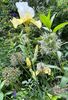 FA138499-2384-4D96-BF93-3F7BC99074CE
