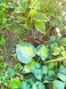 IMG20230523084214