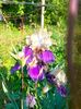 IMG20230523082809
