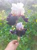 IMG20230523082541