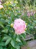 IMG20230523185523