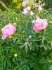 IMG20230523185504