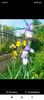 Screenshot_2023-05-19-16-48-58-341_com.facebook.katana