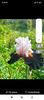 Screenshot_2023-05-19-16-48-11-170_com.facebook.katana