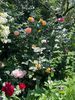 0F6942CD-A160-4B38-BD6A-4A0737D4A4E3