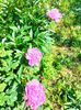 IMG20230526083811