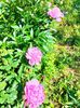 IMG20230526083813
