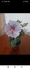 Screenshot_2023-03-18-18-47-41-214_com.facebook.katana