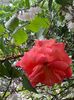 5554A3F2-5C0A-4DF6-9447-AFF5F75CB87E