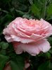 Abraham Darby