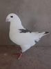 received_2194964137341844
